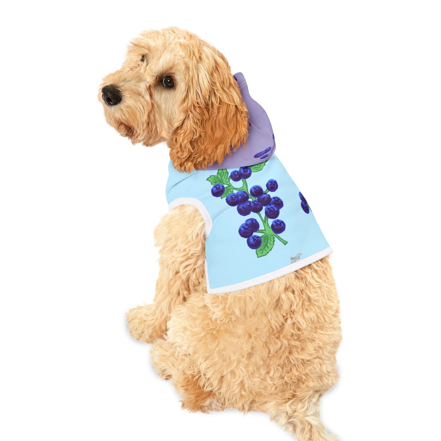Blueberry Pet Hoodie