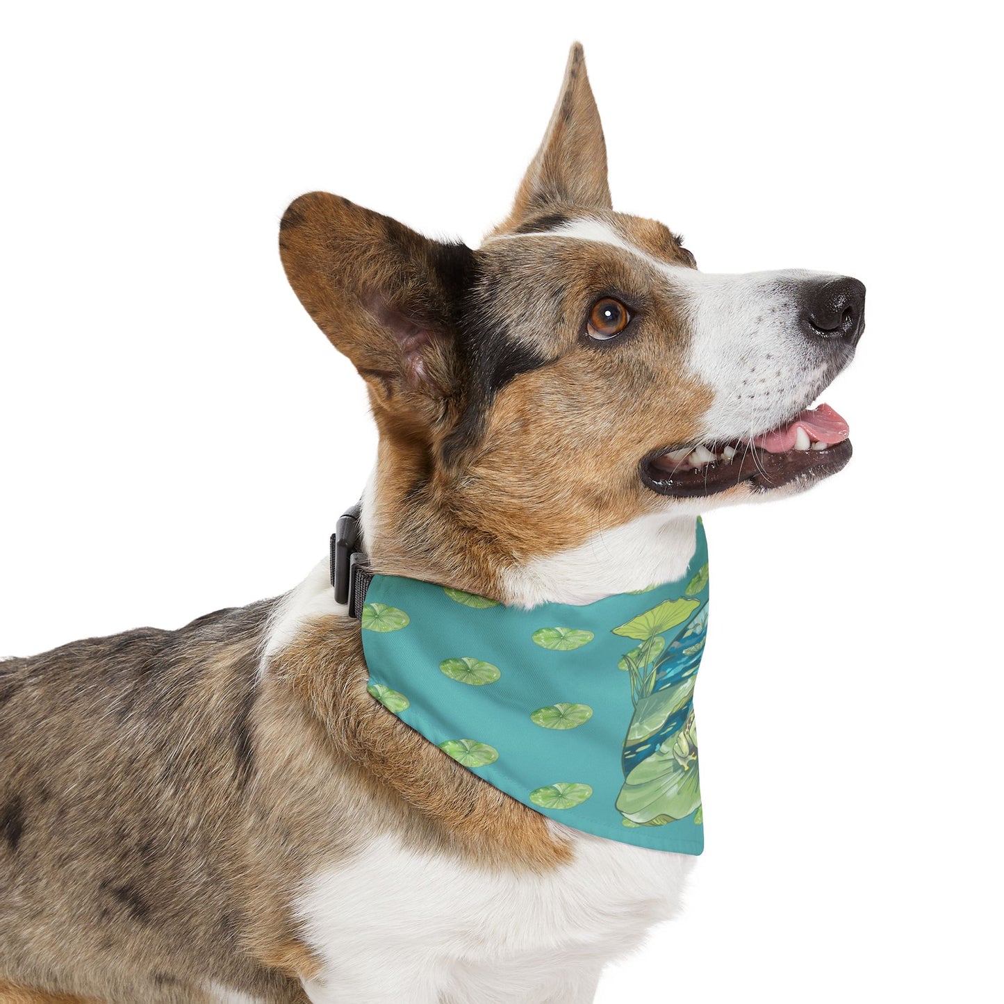 Frog Pet Bandana Collar