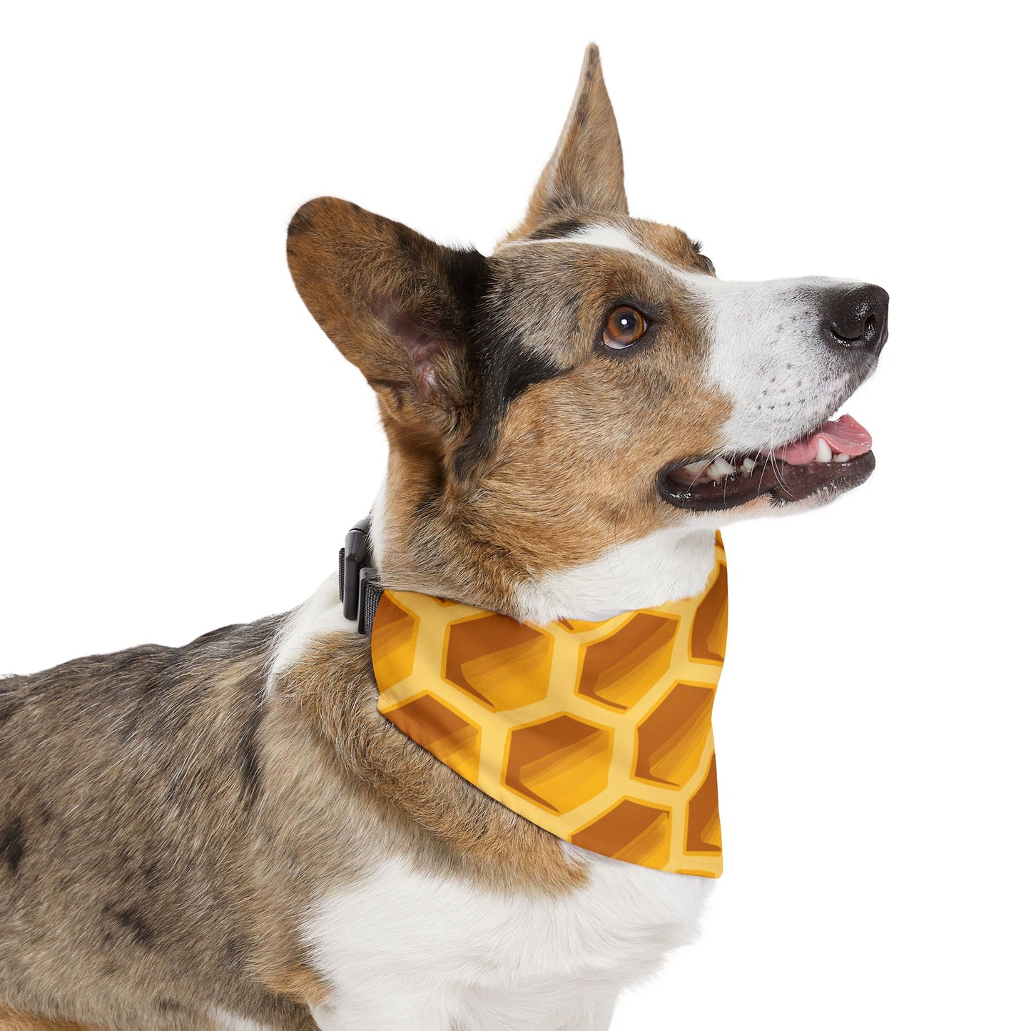 Bee Pet Bandana Collar