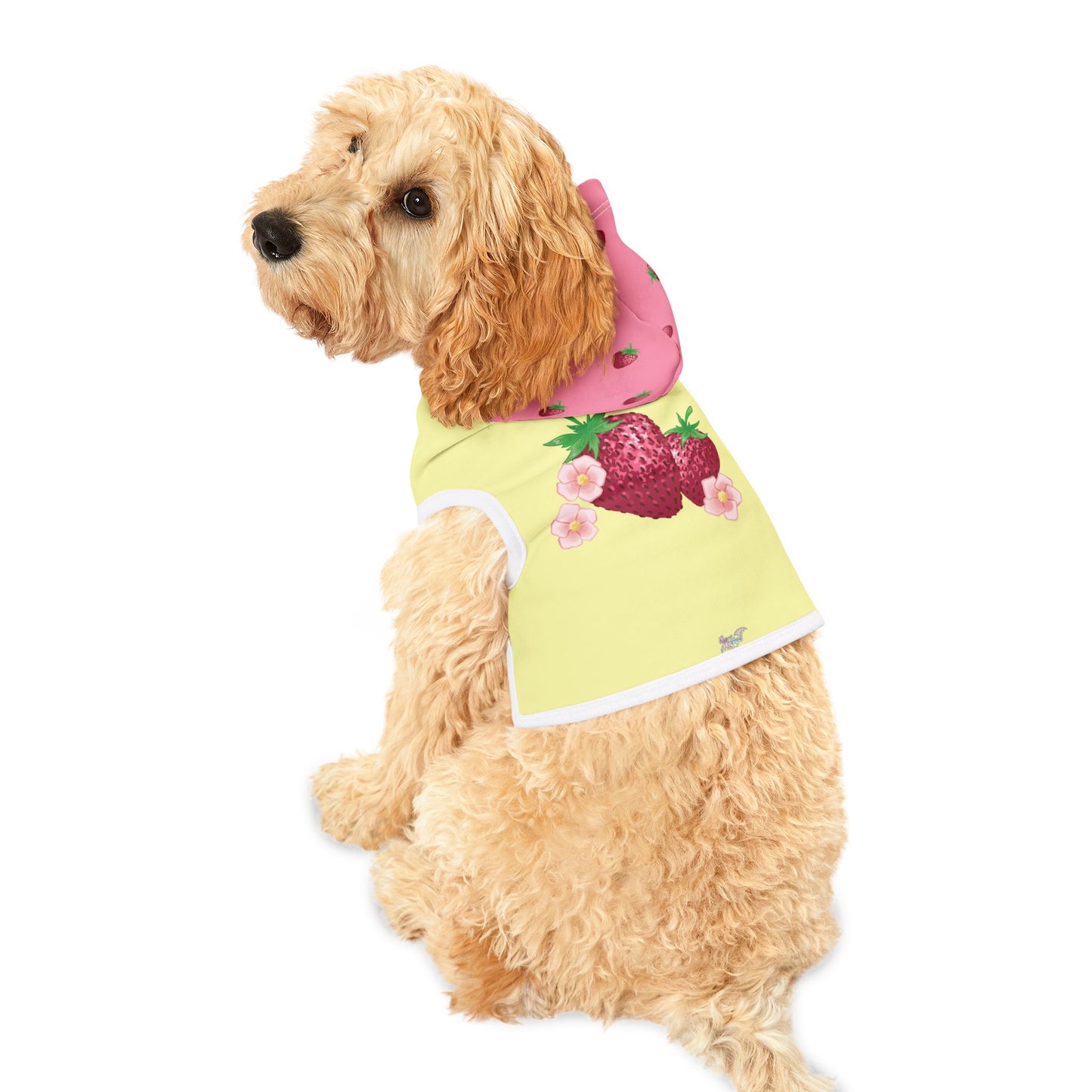 Strawberry Pet Hoodie