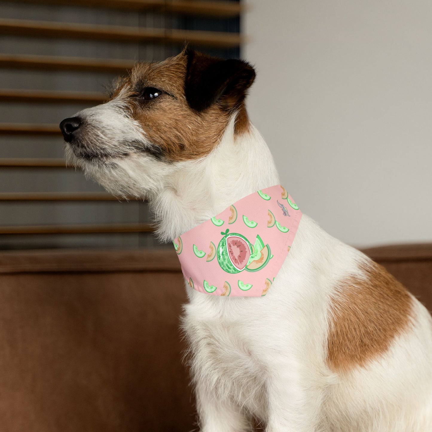 Melon Pet Bandana Collar