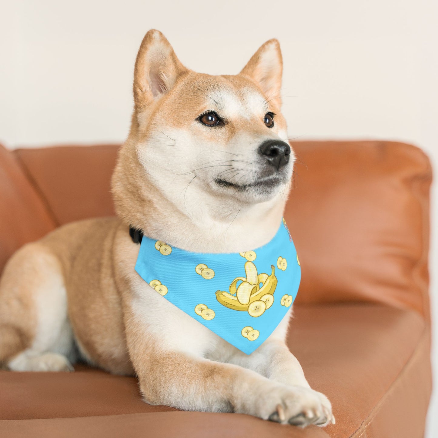 Banana Pet Bandana Collar