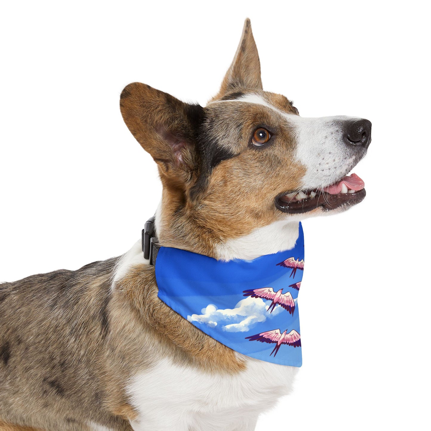 Split-Tailed Swallow Pet Bandana Collar