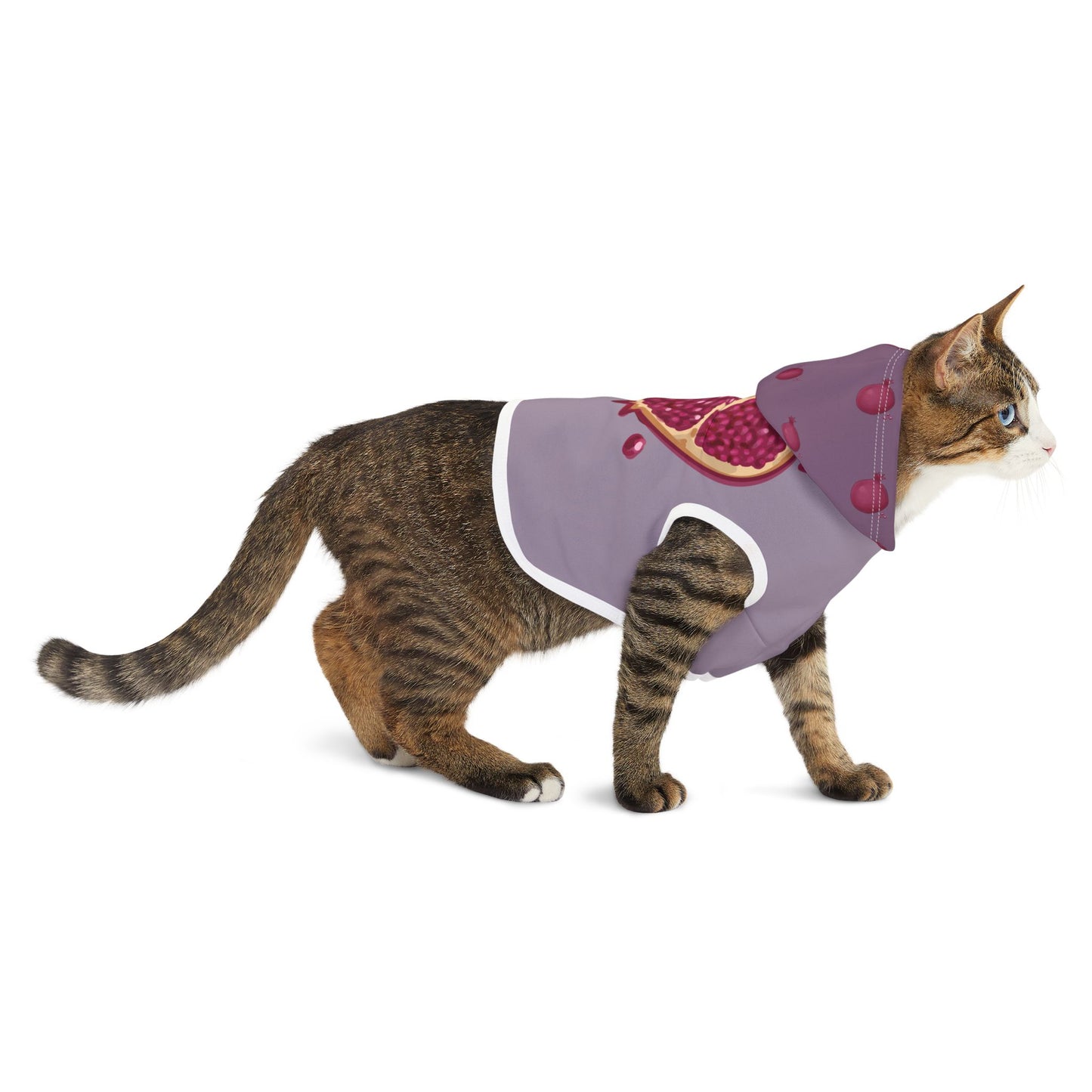Pomegranate Pet Hoodie