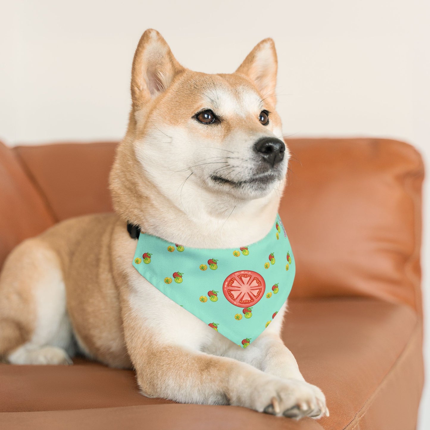 Tomato Pet Bandana Collar