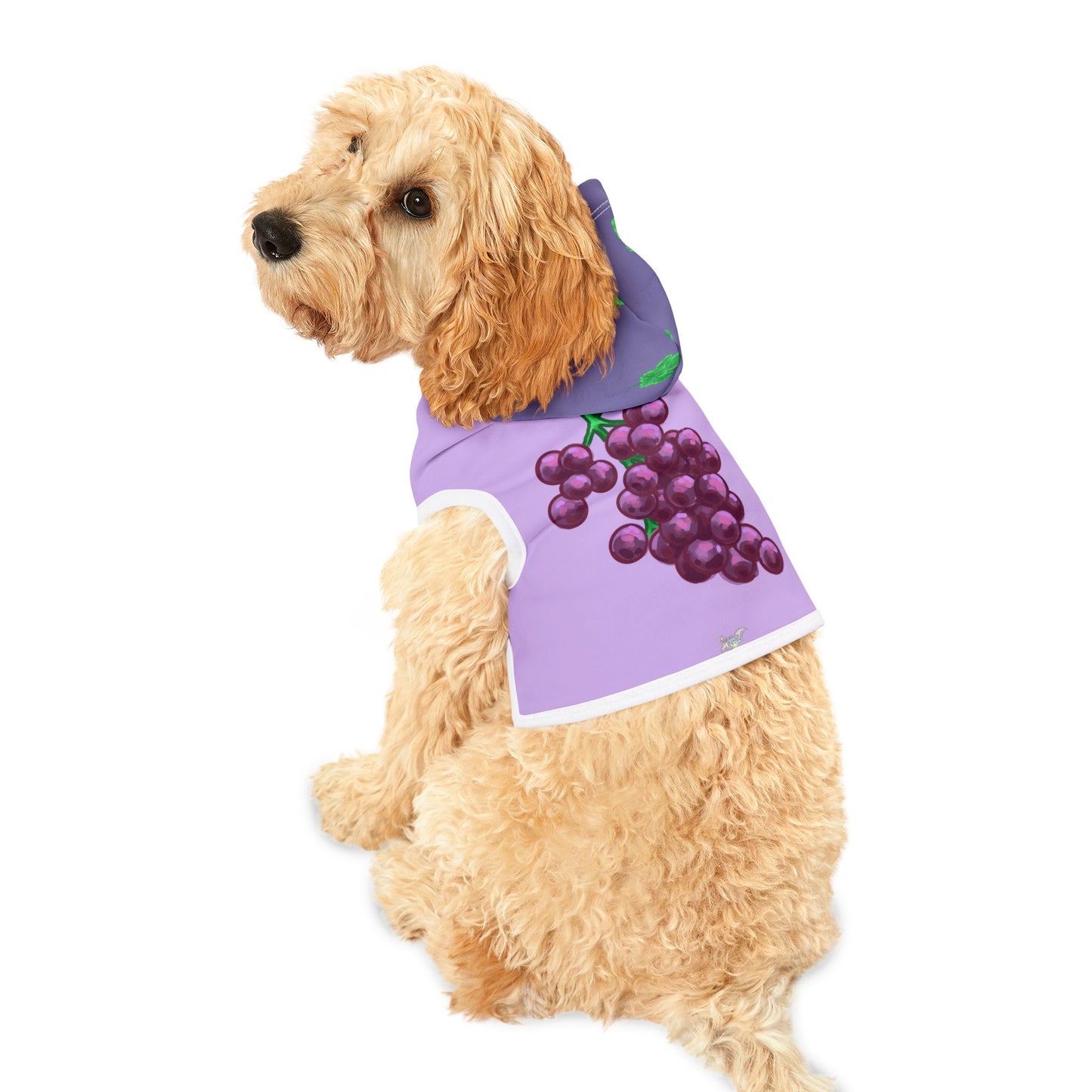 Grape Pet Hoodie