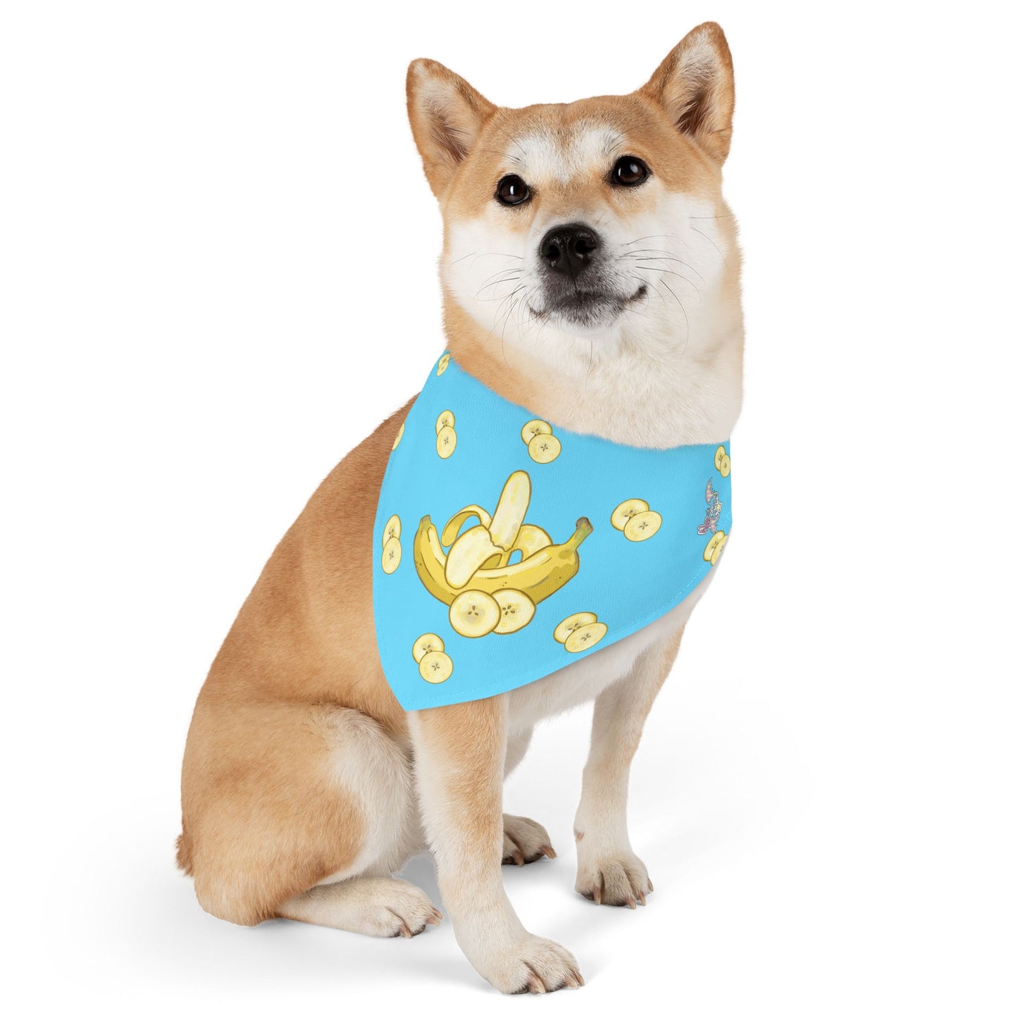 Banana Pet Bandana Collar