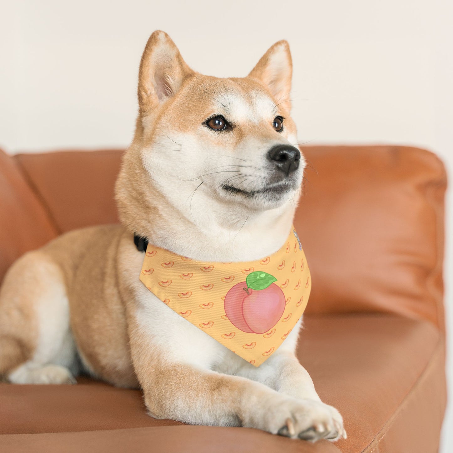 Peach Pet Bandana Collar