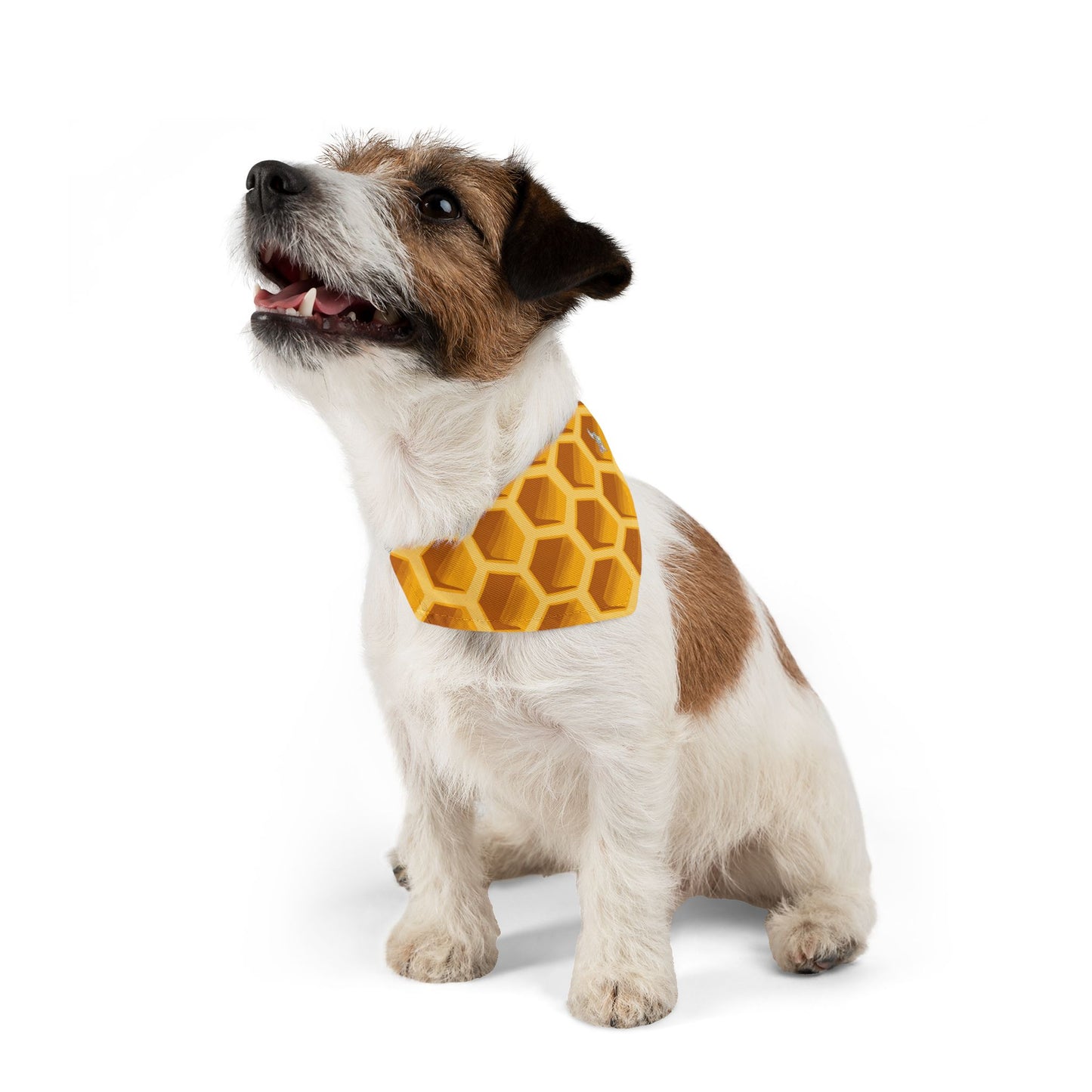 Bee Pet Bandana Collar