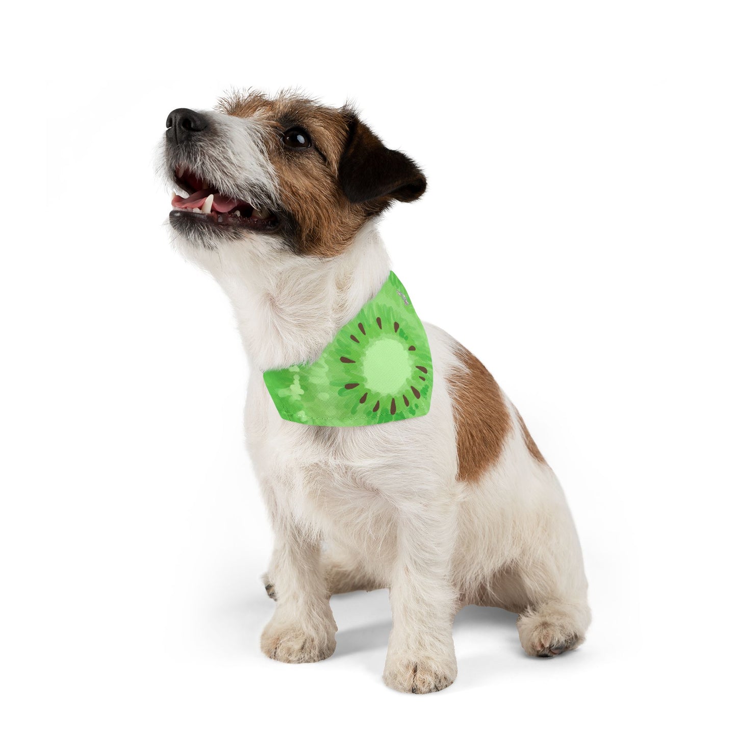 Kiwi Pet Bandana Collar
