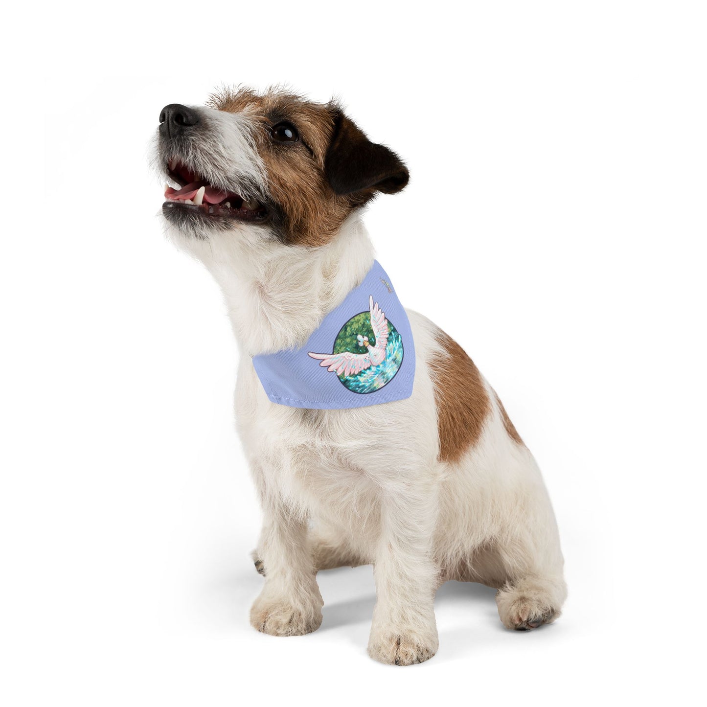 Duck Pet Bandana Collar