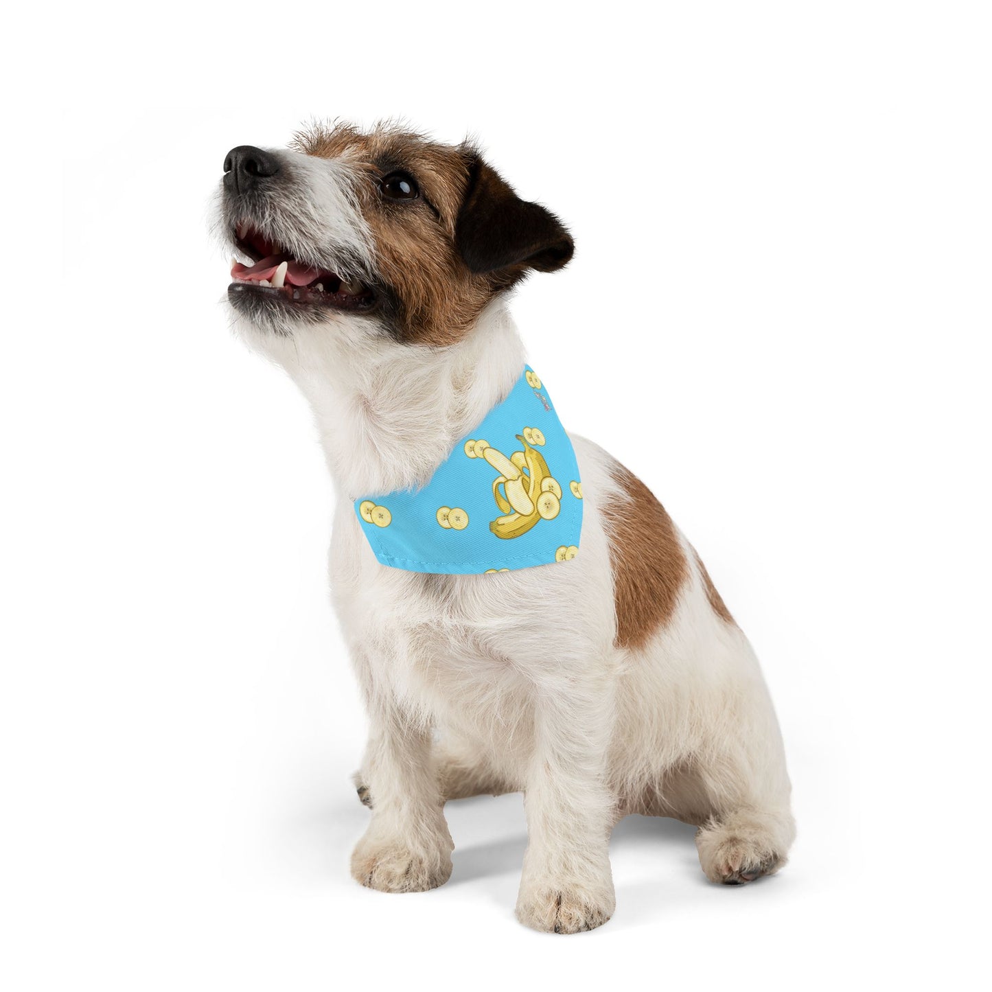 Banana Pet Bandana Collar