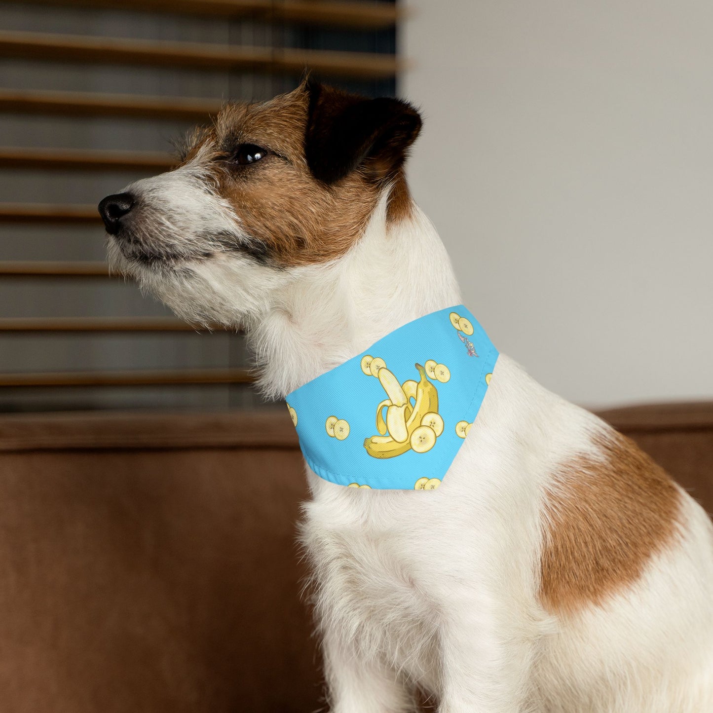 Banana Pet Bandana Collar