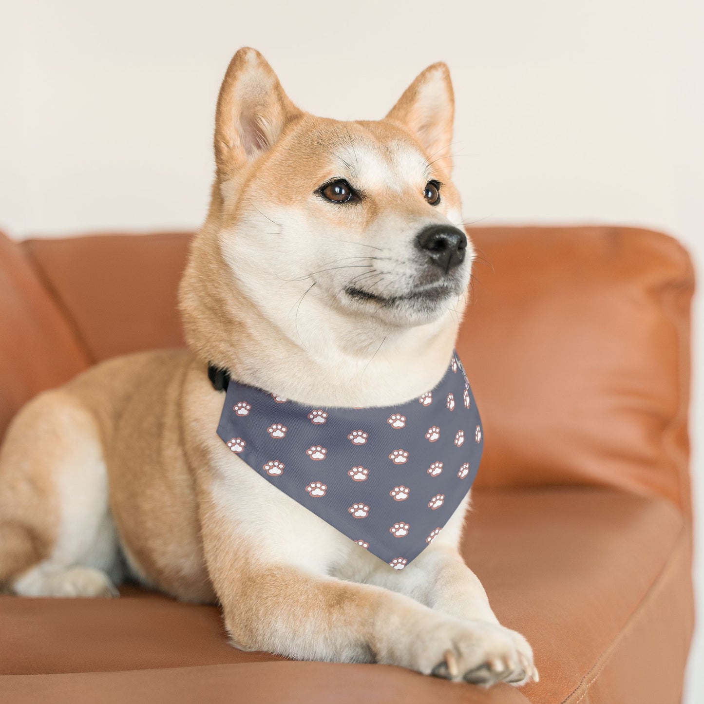 Red Panda Pet Bandana Collar