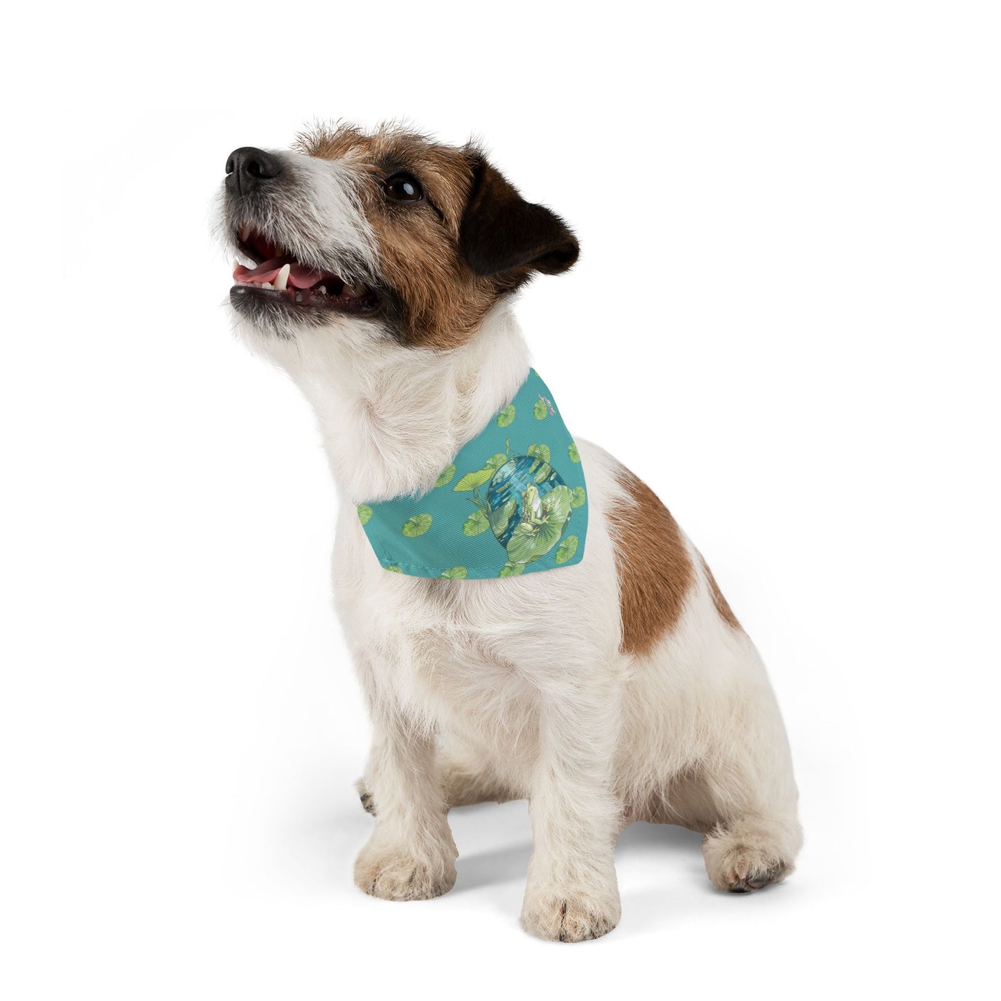 Frog Pet Bandana Collar