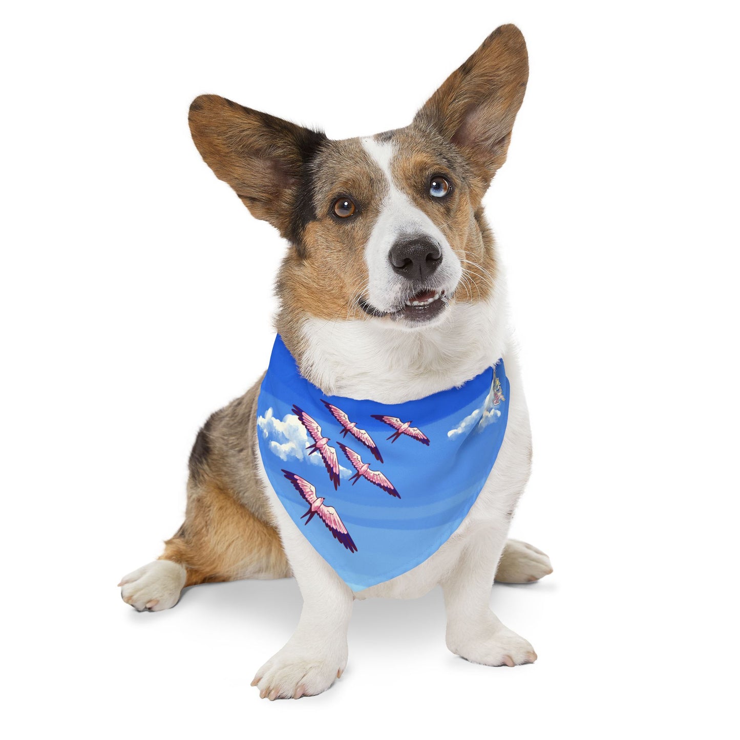 Split-Tailed Swallow Pet Bandana Collar