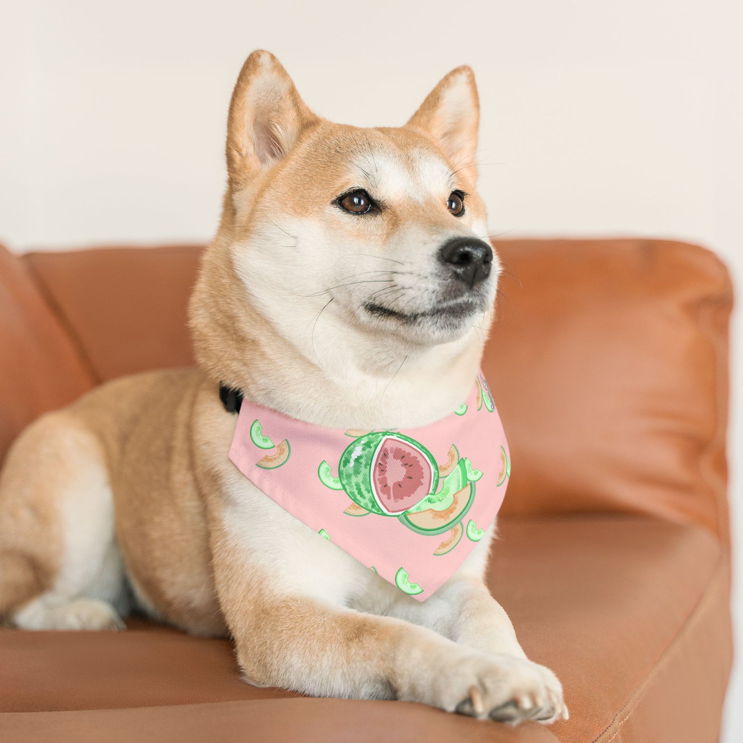 Melon Pet Bandana Collar