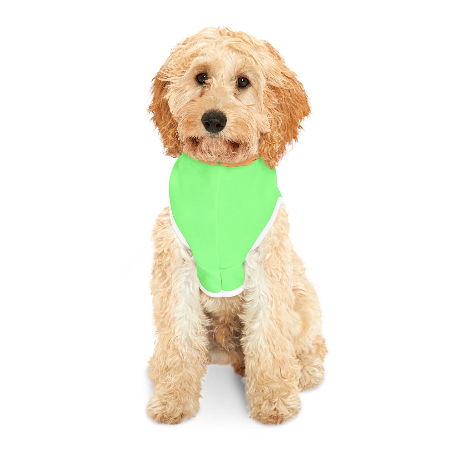 Carrot Pet Hoodie