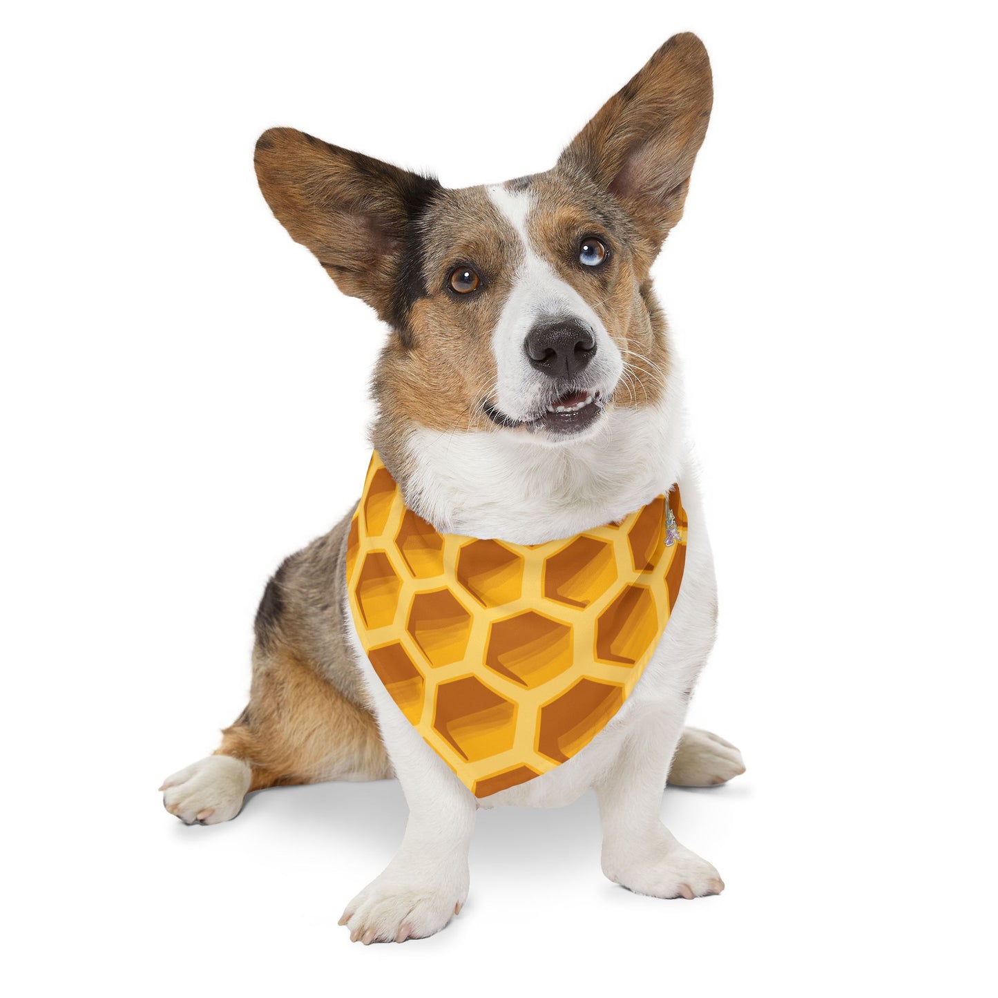 Bee Pet Bandana Collar