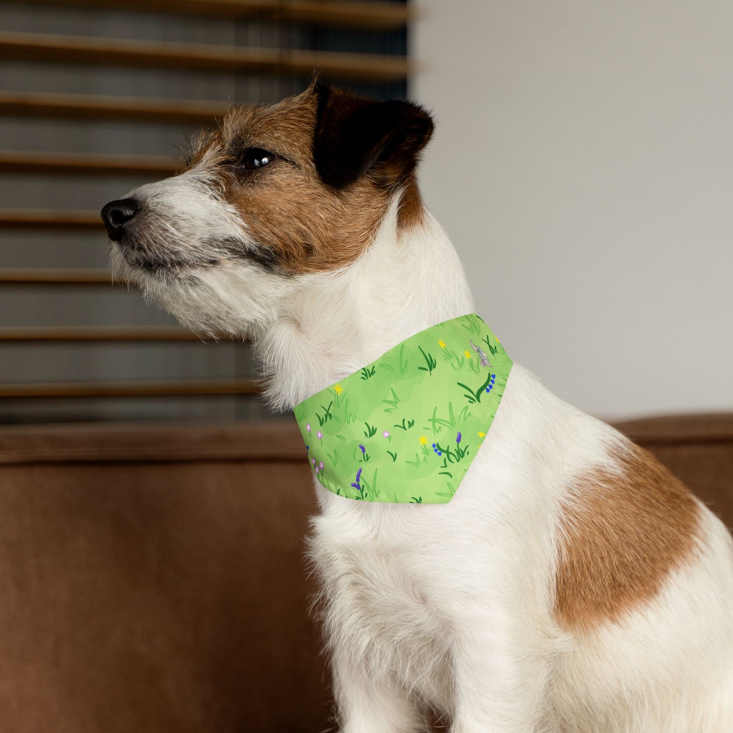 Orange Ox Pet Bandana Collar
