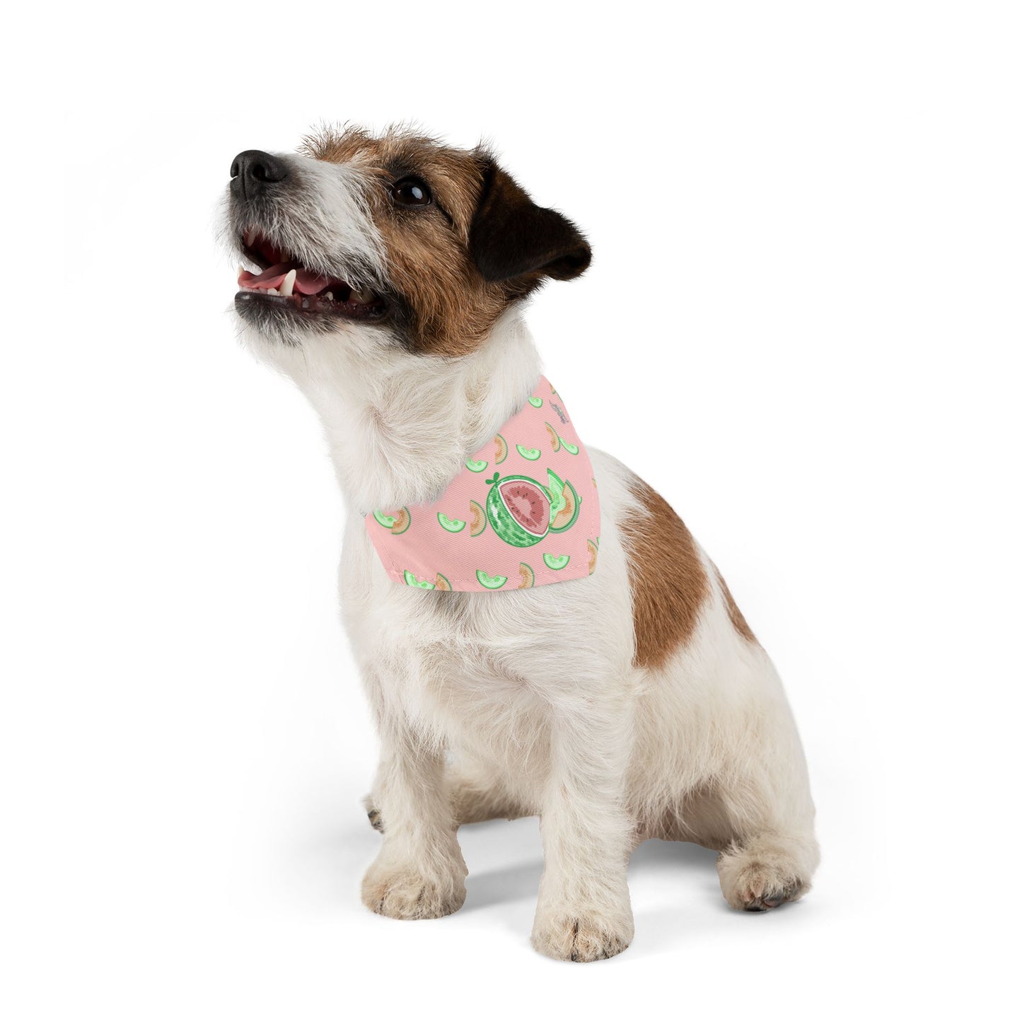 Melon Pet Bandana Collar