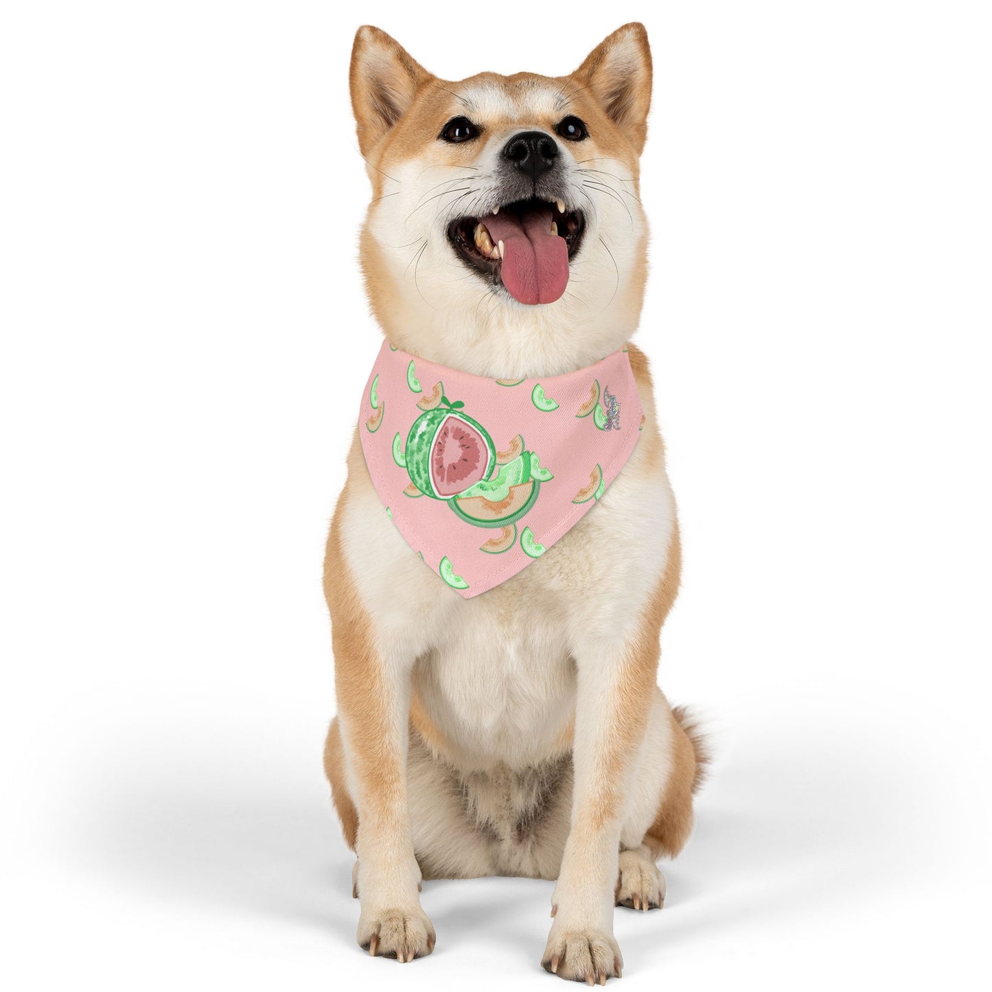Melon Pet Bandana Collar