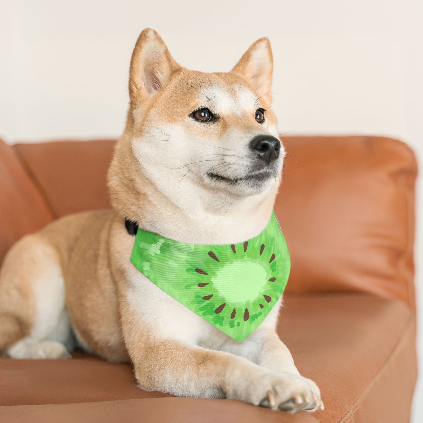 Kiwi Pet Bandana Collar