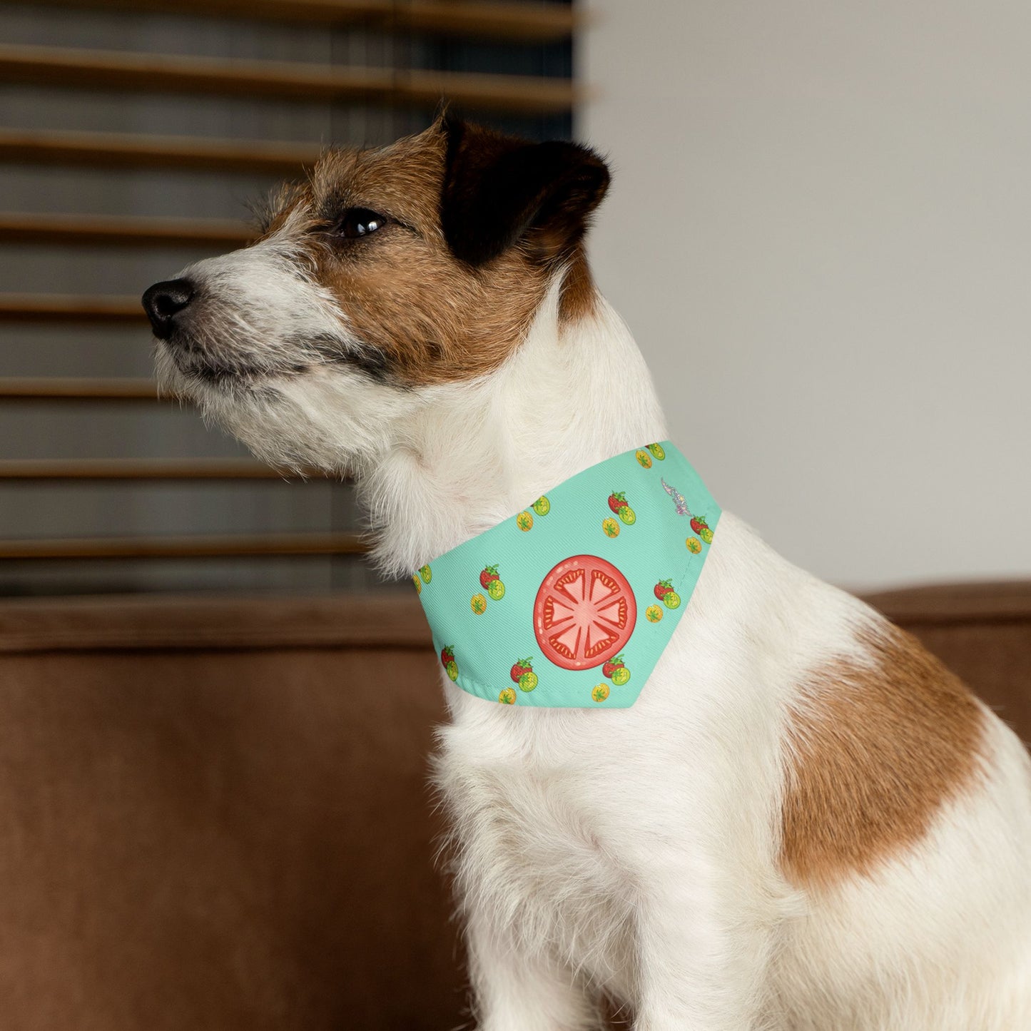 Tomato Pet Bandana Collar