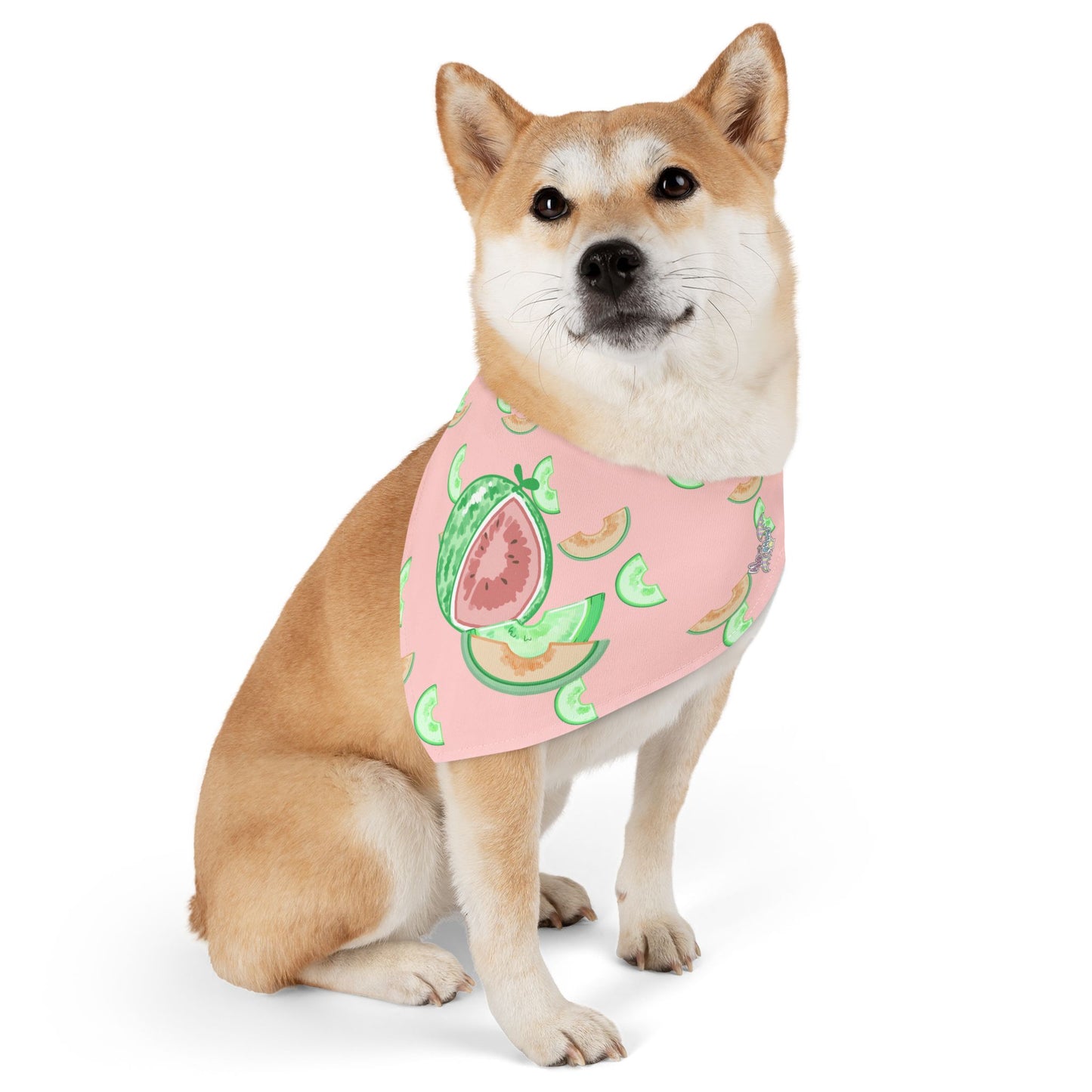 Melon Pet Bandana Collar