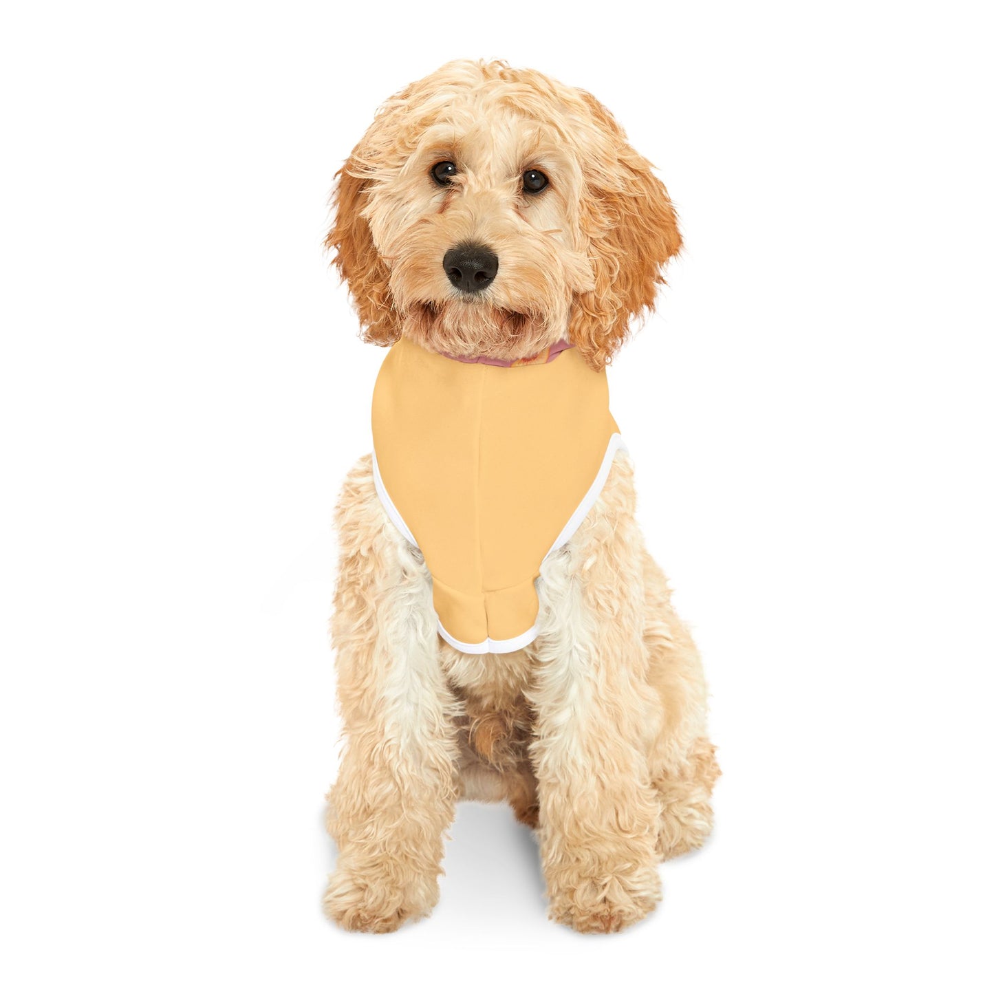 Peach Pet Hoodie