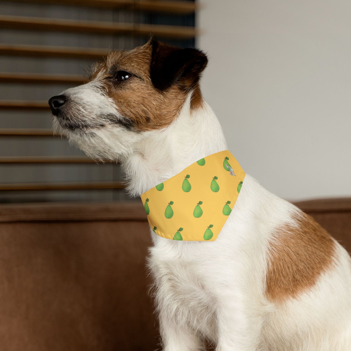 Guava Pet Bandana Collar