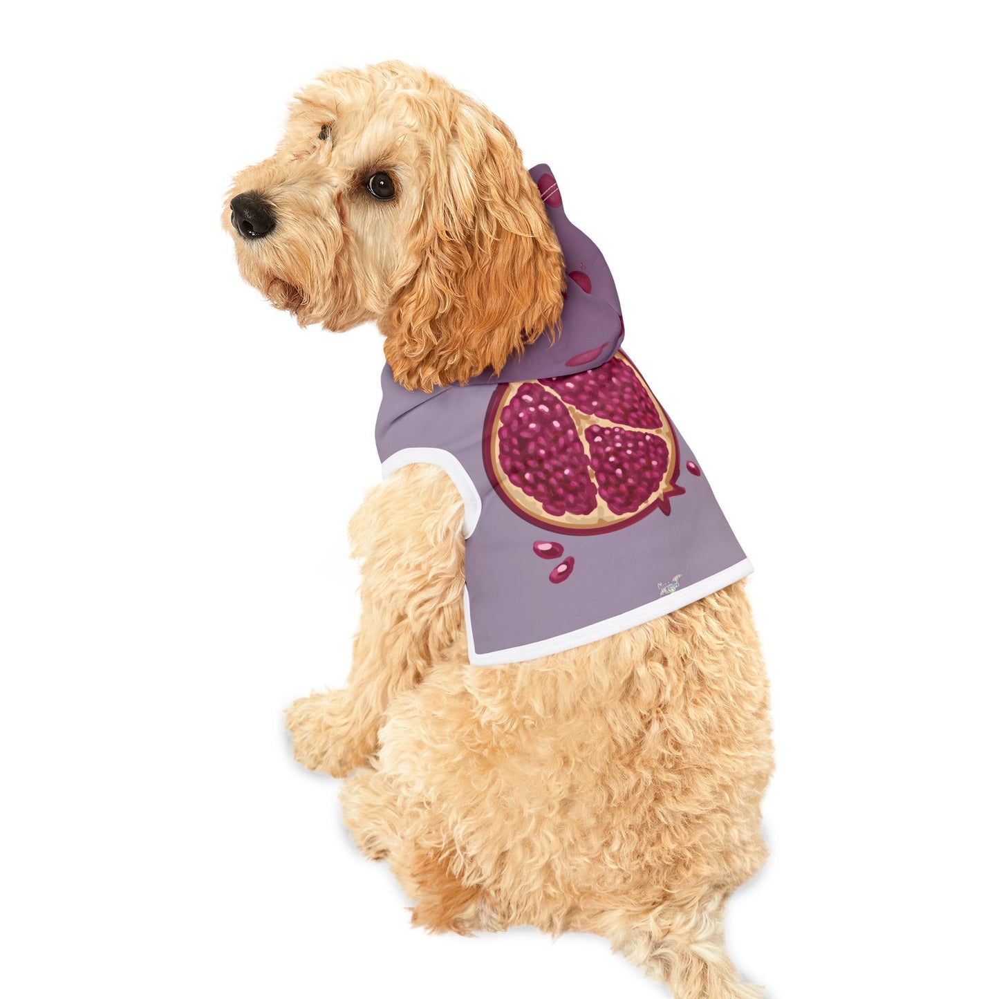 Pomegranate Pet Hoodie